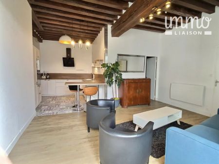 Location meublée, appartement en plein coeur de Blois - Photo 4