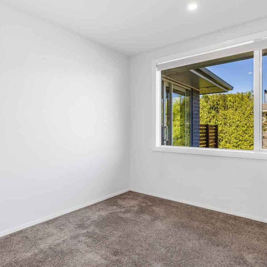 Sunny Spot in Hornby - Photo 1