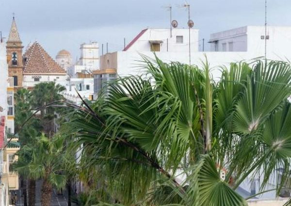 Ático de alquiler en C. Virgen de la Palma, La Caleta - La Viña