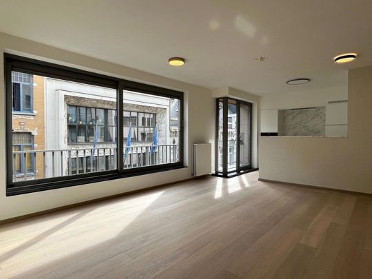 Prachtig, lichtrijk appartement in hartje Antwerpen - Foto 1