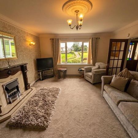 87 Ballylone Road, Saintfield, BT24 8XX - Photo 2