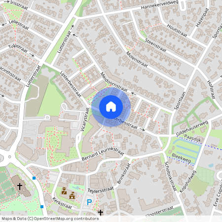 Lijsterbesstraat 42, 7581XS LOSSER