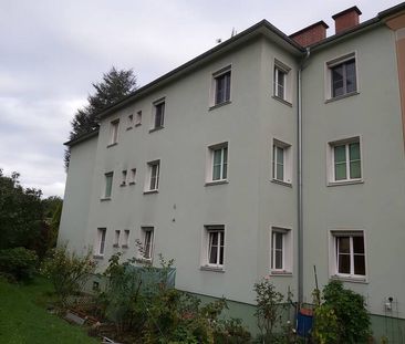 2 Zimmer Wohnung an der Mur I Hauptplatznähe I unbefristet - Foto 3