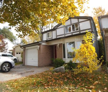 For Lease - 61 Lillooet Crescent Unit# Bsmt, Richmond Hill, Ontario - Photo 4