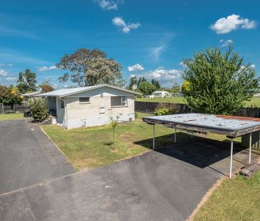 91B Ohaupo Road, Melville — - Photo 5