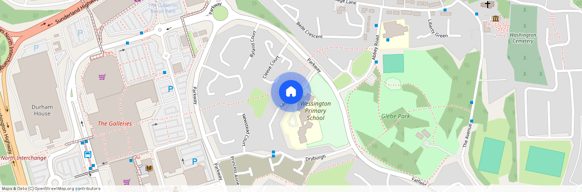 lanercost, Washington, United Kingdom, NE38