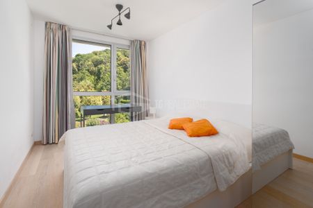 APPARTAMENTO AMMOBILIATO PER 10 MESI, 4,5 LOCALI FRONTE LAGO - Foto 5