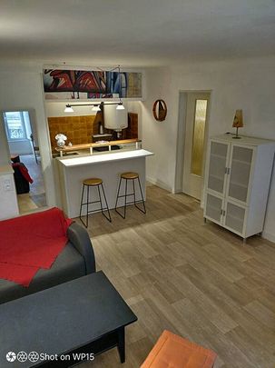 Hyper centre, appartement T3 de 51 m2 meublé - Photo 1