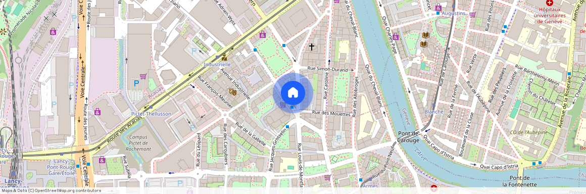 Rue Du Grand-Bureau 26, 1227, Acacias