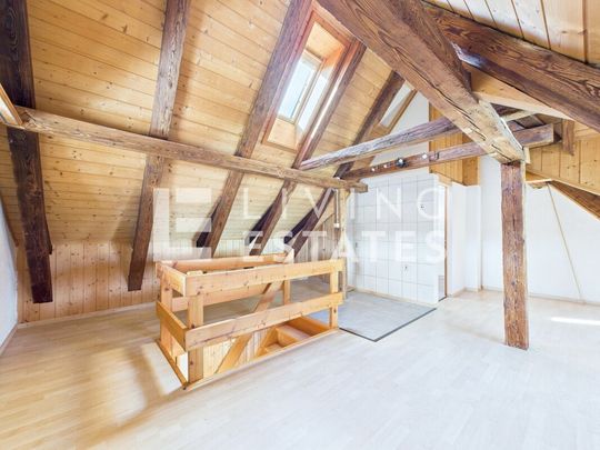 SYNERGIE SOUS UN MÊME TOIT - LÀ OÙ LA VIE ET LE TRAVAIL SE RENCONTRENT - Foto 1