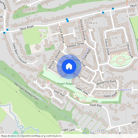 Old Town, Swindon, SN1