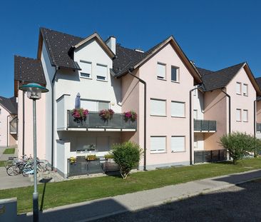 WirtschaftseinheitTRAISMAUER IV/1 - Foto 1