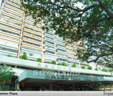 Balestier Plaza (D12), Apartment - For Rent - Photo 3