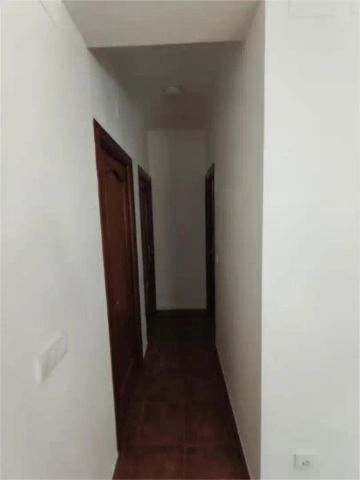 Sevilla - Foto 5
