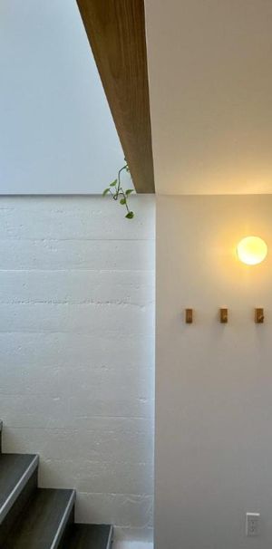 3 1/2 - Montréal (La Petite-Patrie) - 1 675 $/mois - Photo 1