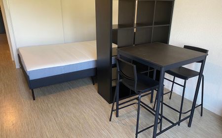 Appartement à louer 2 pièces • 29,77 m2 Toulouse - Photo 3