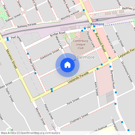 38 Collins Street, Belmore 2192, New South Wales