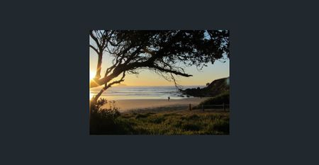 Experience the magic of Emerald Beach - Photo 2