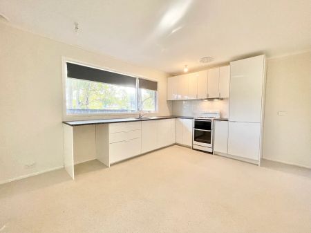 Perfect Location! - Photo 3