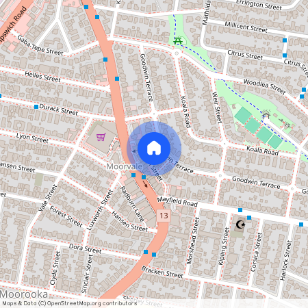 43 Goodwin Terrace, Qld 4105, Moorooka