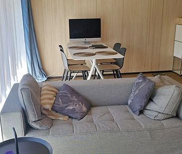 2½ Zimmer-Wohnung in Goldau (SZ), möbliert, auf Zeit - Photo 1