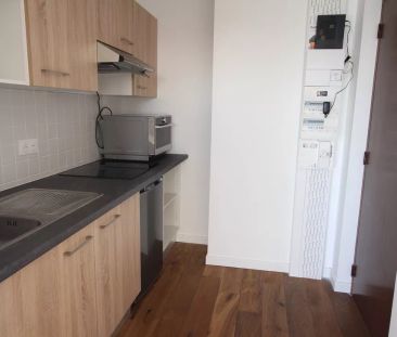 Appartement T1 avec terrasse loué Meublé avec cave et parking - Photo 1