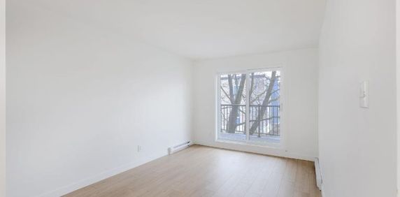 Appartement 3 ½ à louer Beauport juillet 2026 - Photo 2