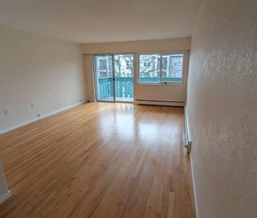 Jubilee area 1 bedroom apartment. - Photo 4