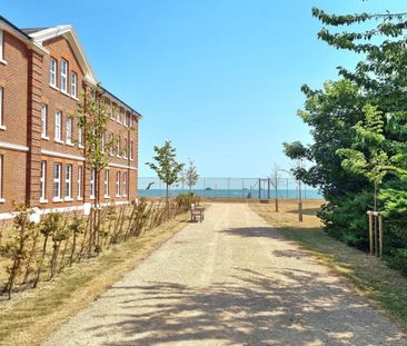 Royal Haslar - Photo 3