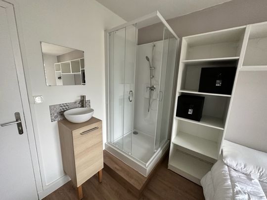 A louer Brest Bellevue/Facs grande chambre meublé+douche dans colocation - Photo 1