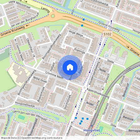 Bijster, Hoogvliet Rotterdam