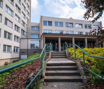 Pronájem bytu 2+1 37 m² - Fotografie 5