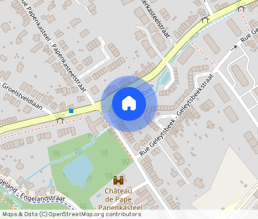 Uccle/Lycée Français: Superb house with landscaped garden - Foto 1