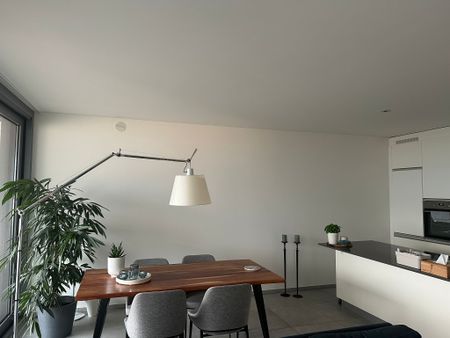 Modern 4.5-room apartment on the 1st floor with terrace - Photo 2