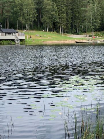 Liljebergsgatan, Borås - Foto 3