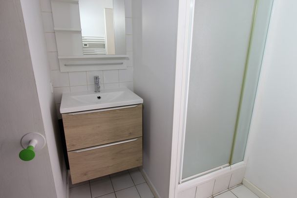 Location Appartement 2 pièces 41m² NANTES 44100 - Photo 1