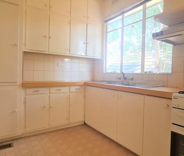 Family Comfort in the Box Hill High School Zone - Photo 4