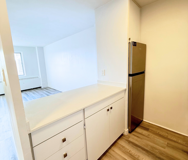 Beautiful Renovated 3.5 – 7355 Acadie - Photo 4