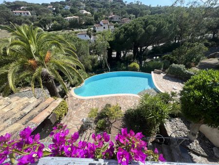 Location Maison 4 pièces 115 m2 à Sainte-Maxime - Photo 5