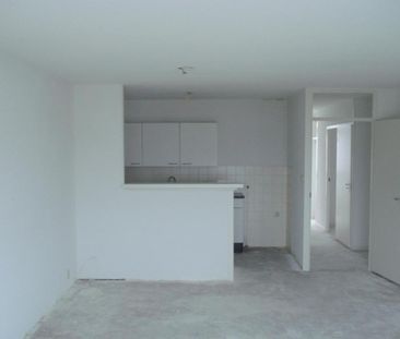 Bisonspoor 2251 - foto 1