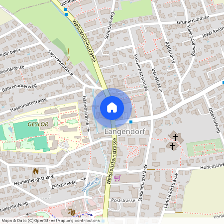 4513, Langendorf, Weissensteinstrasse