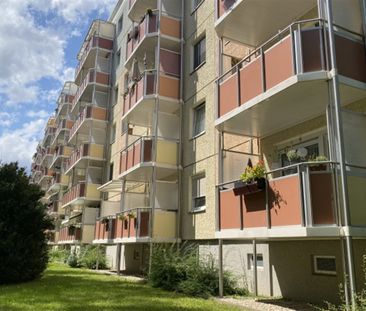 Alles wird neu - tolle 3-Raumwohnung in grüner Lage - Photo 5