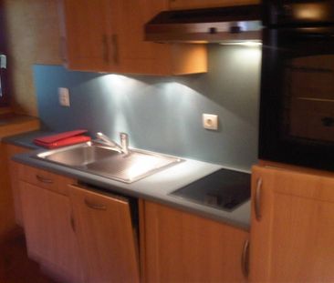 Location Appartement 2 pièces 30m² ANNECY 74000 - Photo 3