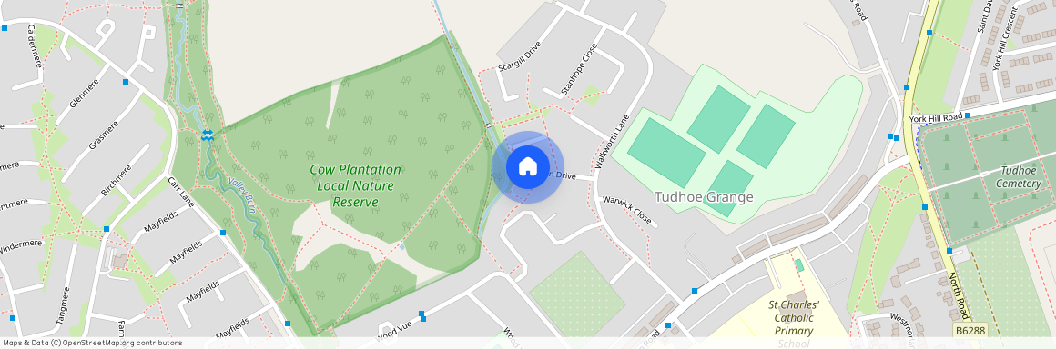 Witton Drive, Spennymoor