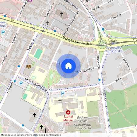 ul. rtm. Witolda Pileckiego, Centrum / Śródmieście, Sosnowiec, śląskie