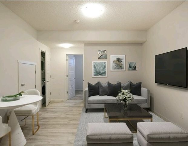 BRIGHT 1 BED/1 BATH BASEMENT SUITE | 4323 Cooke Lane Southwest, Edmonton - Photo 1