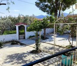 Μονοκατοικία για ενοικίαση - Σαλαμίνα, - Photo 5