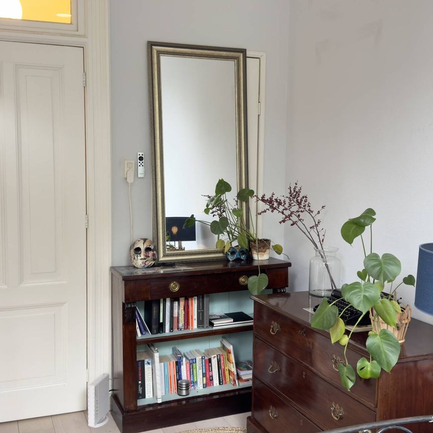 Koninginneweg, spacious furnished 1 bedroom apartment. - Photo 1