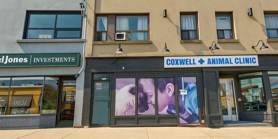 For Lease - 1020 Coxwell Avenue Unit# Upper, Toronto, Ontario - Photo 3