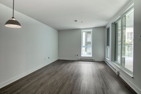 9675 Av. Papineau, app.113, H2B 3C8, H2B 3C8, Montréal - Photo 4